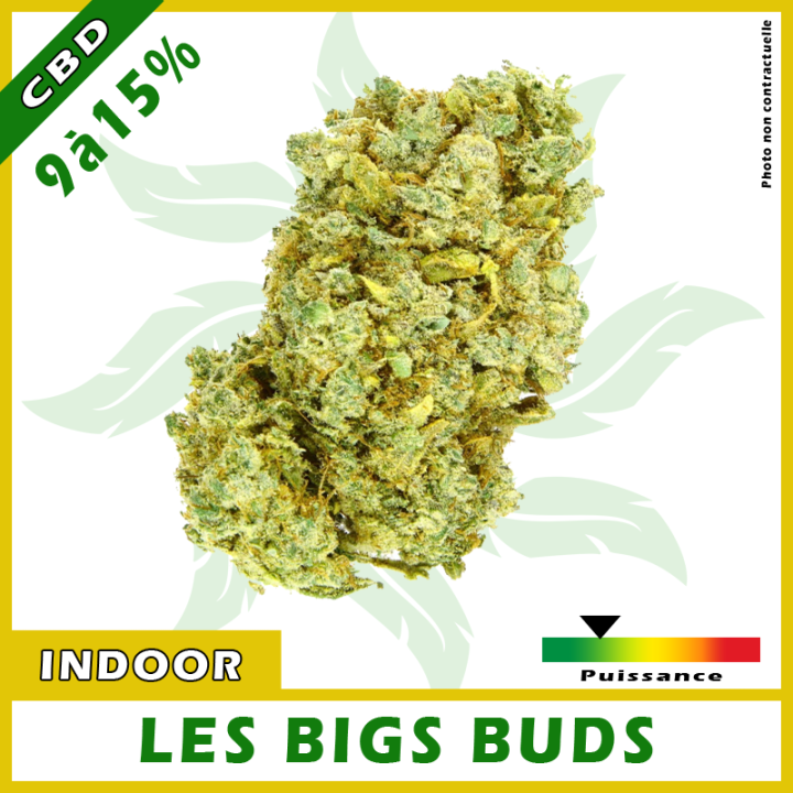 FLEURS CBD "BIG BUD" Indoor