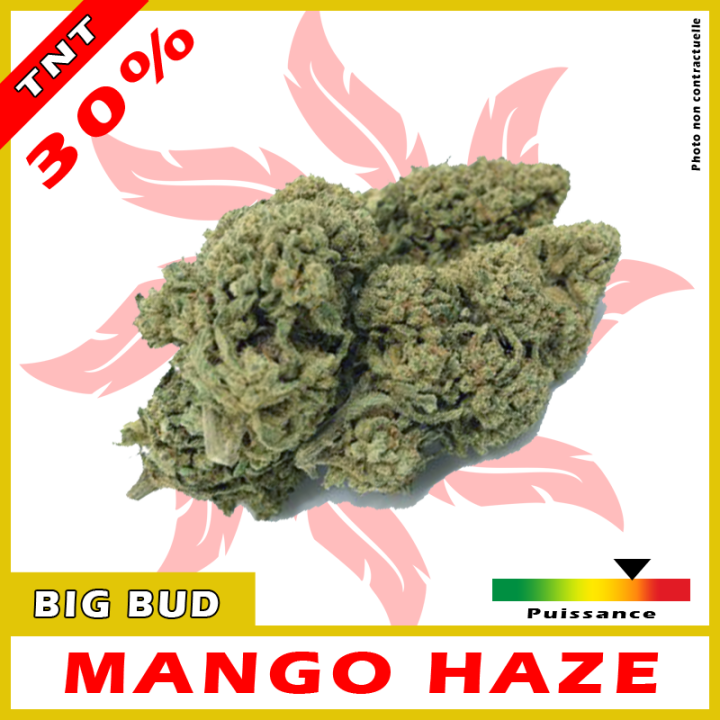 TNT FLEURS MANGO HAZE 30%