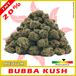 TNT FLEURS BUBBA KUSH 20%