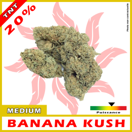 TNT FLEURS BANANA KUSH 20%