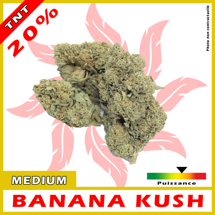 TNT FLEURS BANANA KUSH 20%