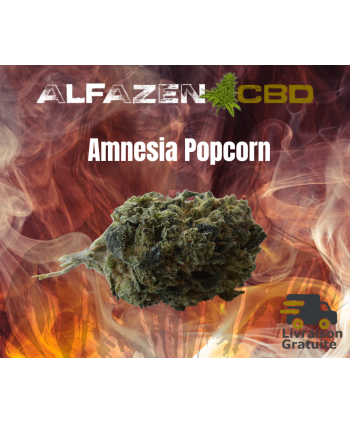 Amnesia Popcorn