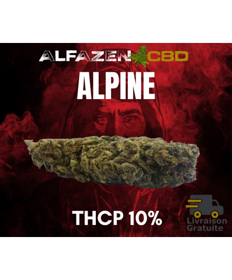 THCP 10% "Alpine"