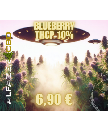 THCP 10% "Blueberry"