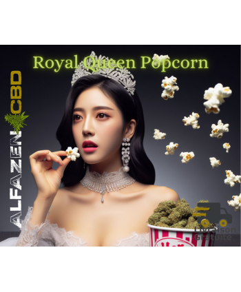 Royal Queen Popcorn